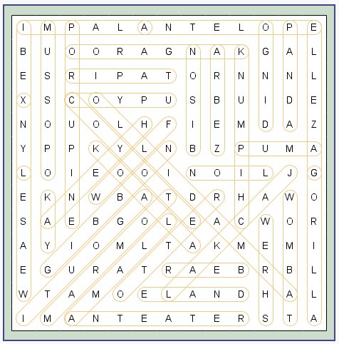 Word Search Puzzle
